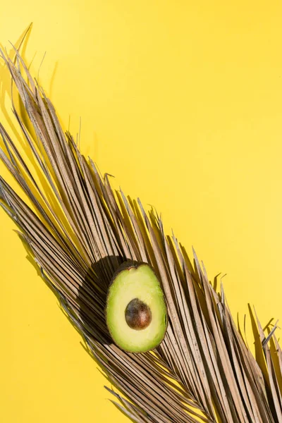 Avocados cut on a background of color — Stock Photo, Image