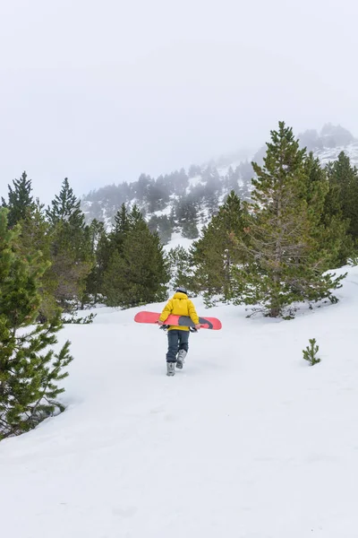 Ελεύθερος αναβάτης απολαμβάνοντας το χιόνι — Φωτογραφία Αρχείου