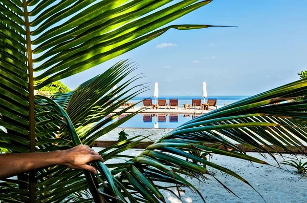 View in the tropical hotel — Stock Photo, Image