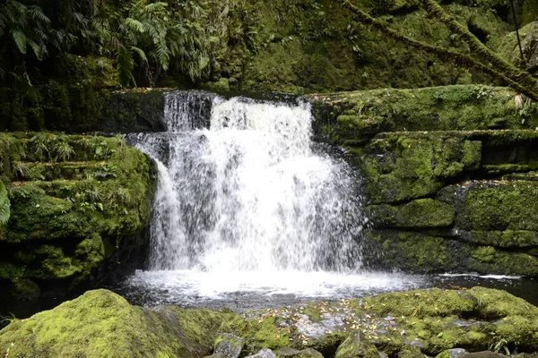 Yeni Zelanda 'nın Güzelliği