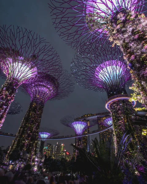 Körfez kenarındaki bahçeler, Singapur, Asya