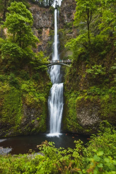 Beleza Oregon Eua — Fotografia de Stock