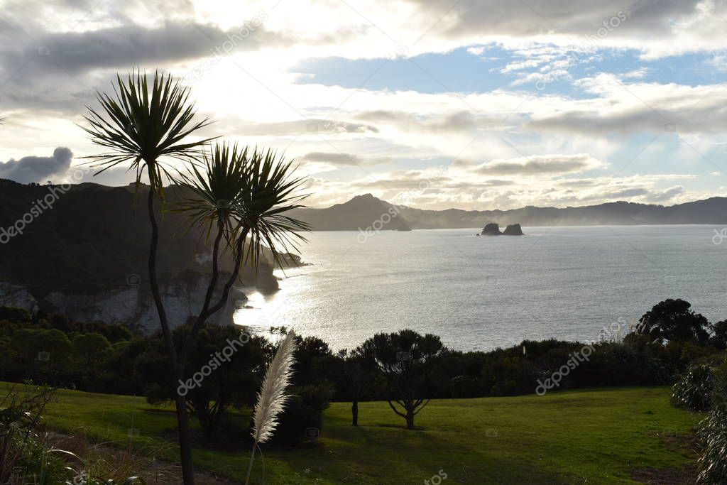 Beauty of New Zealand