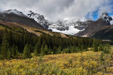 Banff Ulusal Parkı, Alberta, Kanada