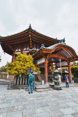 Nara, Nara Bölgesi, Japonya, Asya