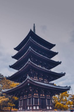Nara, Nara Bölgesi, Japonya, Asya