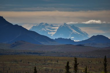 Denali Ulusal Parkı, Alaska, ABD