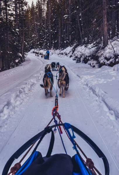 Banff Ulusal Parkı, Alberta, Kanada