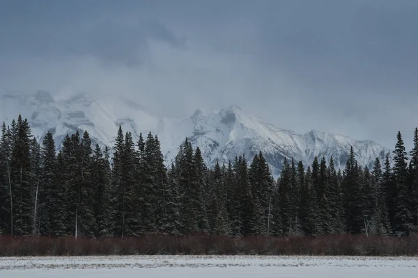 Banff Nationalpark Alberta Kanada — Stockfoto