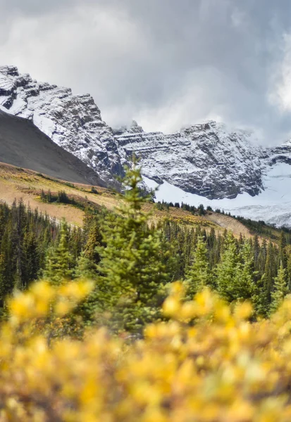 Εθνικό Πάρκο Banff Αλμπέρτα Καναδάς — Φωτογραφία Αρχείου