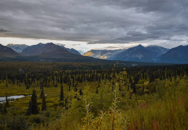 Alaska Highway Alaska Abd — Stok fotoğraf