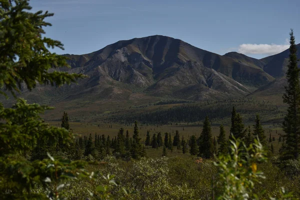 Denali National Park アラスカ州 アメリカ — ストック写真