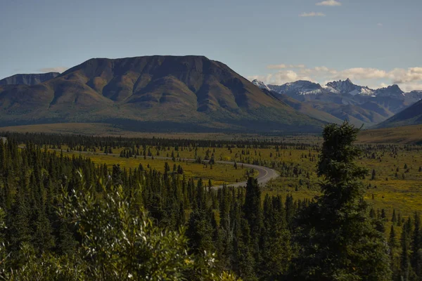 Denali National Park Alaska Usa — Stock Photo, Image