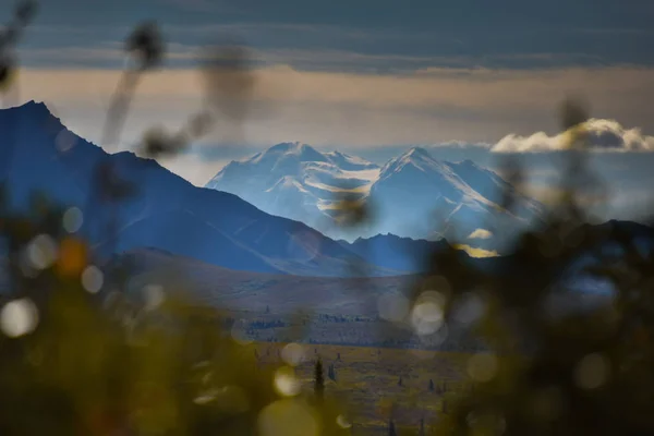 Национальный Парк Денали Аляска Сша — стоковое фото
