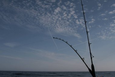 Ton balığına hazır olta kamışı..