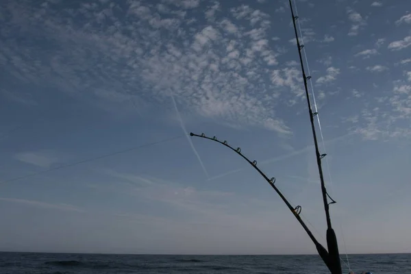 Ton balığına hazır olta kamışı..
