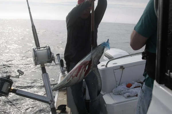 Balıkçılar ton balığı yakalamak için balıkçılık malzemeleri kullanıyor..