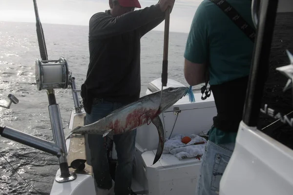 Balıkçılar ton balığı yakalamak için balıkçılık malzemeleri kullanıyor..