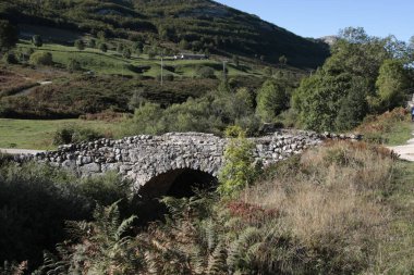 Dağ nehri üzerindeki taş köprü..