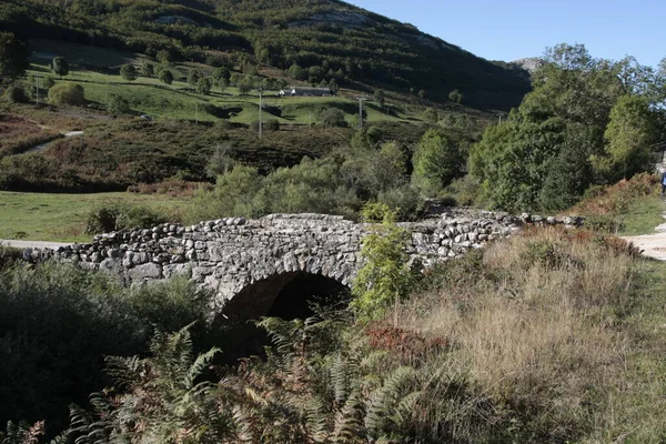 Dağ nehri üzerindeki taş köprü..