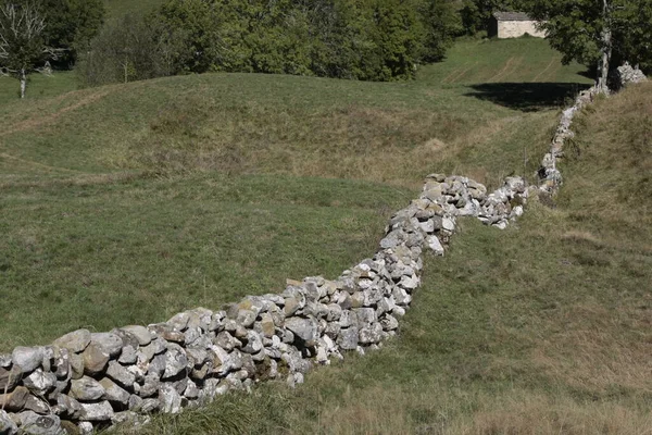 Parlak şekilli taş çitler..