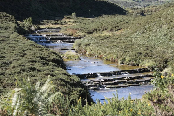 Ekimde akıntısız bir dağ nehri.