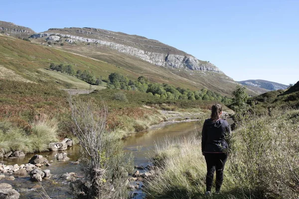 Genç bayan dağ vadisini izliyor..