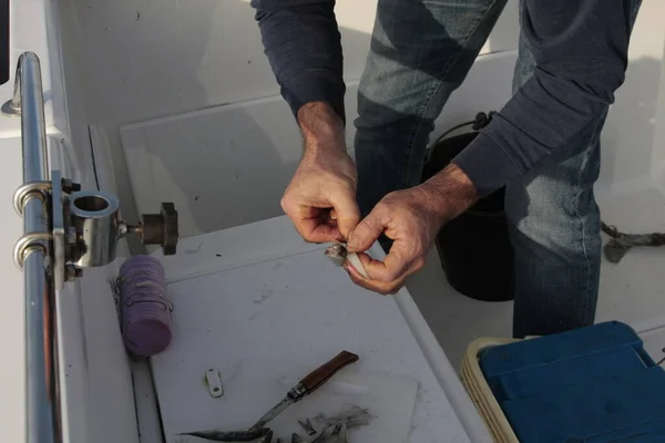 Balıkçı balık tutmak için yem hazırlıyor..