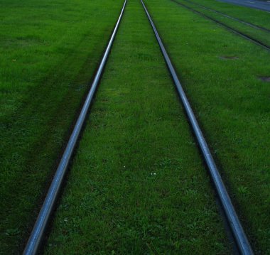 Tramvay rayları çimlerin üzerinde.