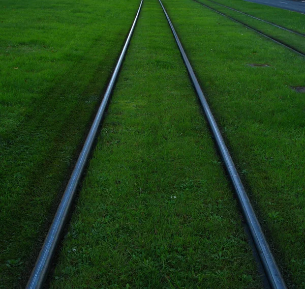 Tramvay rayları çimlerin üzerinde.