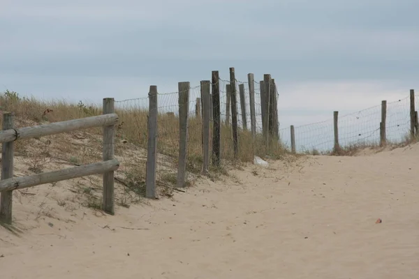 Kumsala ulaşmak için kum tepelerini koruyan tahta çitler..