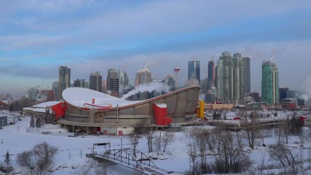 Calgary Alberta Canada Fevereiro 2019 Centro Calgary Casaco Inverno — Vídeo de Stock