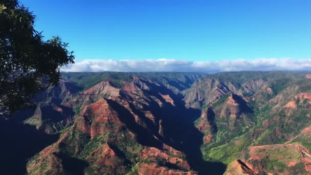 Waimea Canyon Also Called Pacific Grand Canyon Breathtaking Landscape Located — Stock Video