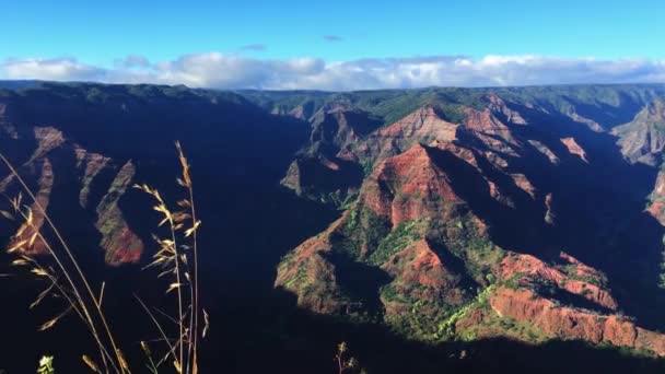怀米亚峡谷 Waimea Canyon 也被称为太平洋大峡谷 Pacific Grand Canyon 是位于夏威夷考艾岛的一个令人叹为观止的景观 去度假是一个非常美丽的目的地 绝对应该在名单上 — 图库视频影像