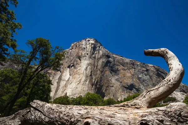 Słynny El Capitan z dołu w słoneczny letni dzień. Yosemite Valley znajduje się w Kalifornii w Usa — Zdjęcie stockowe