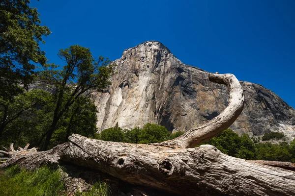 Słynny El Capitan z dołu w słoneczny letni dzień. Yosemite Valley znajduje się w Kalifornii w Usa — Zdjęcie stockowe