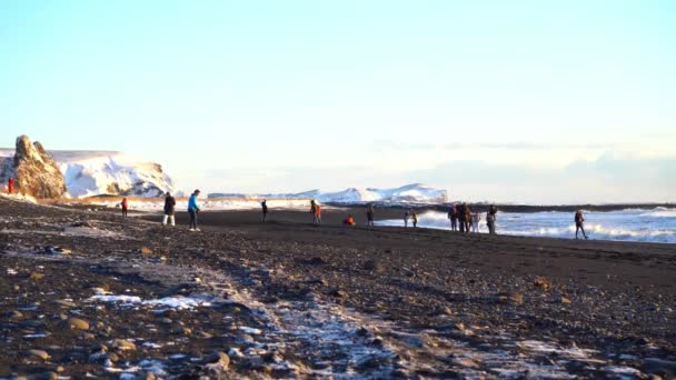 Vik Islanda Dicembre 2019 Ben Noto Molto Bella Spiaggia Sabbia — Video Stock