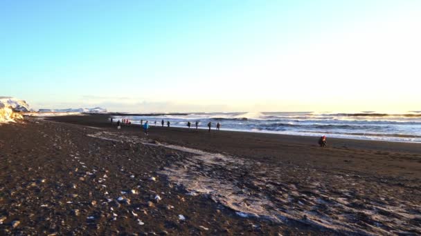 Vik Islanda Dicembre 2019 Ben Noto Molto Bella Spiaggia Sabbia — Video Stock