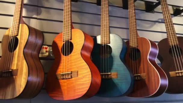 在清扬村购物中心出售的吉他是考艾岛最好的地方 可以在那里花一些钱购买纪念品和夏威夷特有的东西 如木制珠宝等 — 图库视频影像