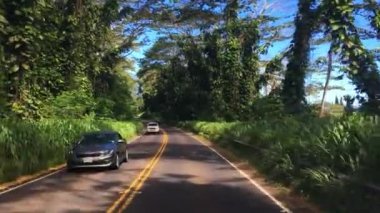 Hanalei, Hawaii, USA 12. Temmuz 2019. Hawaii 'nin en güzel adası Kauai' de yapılan bir yolculuğun yüksek çözünürlüklü görüntüleri. Hawaii 'nin güzel manzarası tüm yıl boyunca bir sürü turist getiriyor.