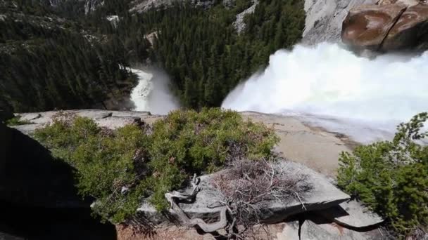 Yosemite Valley National Park cachoeiras são enormes, especialmente durante a primavera e início do verão, quando a neve das montanhas está derretendo. O melhor momento para visitar os EUA Califórnia — Vídeo de Stock