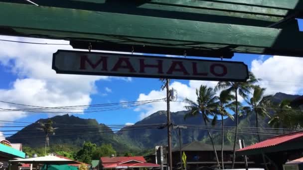 Hanalei, Hawaje, USA 12. lipiec 2019. Centrum handlowe Ching Young Village to najlepsze miejsce na Kauai, gdzie wydać trochę pieniędzy na pamiątki i typowe rzeczy z Hawajów jako drewniana biżuteria itp. — Wideo stockowe