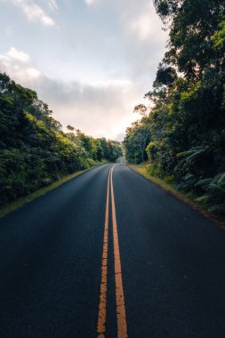 Havai adında güzel manzaralı bir cennet yolu. Kauai Adası 'ndaki Na Pali Sahili yolu. Amerika Birleşik Devletleri 'nde turizm. Hawaii tropik cenneti ziyaretine değer.