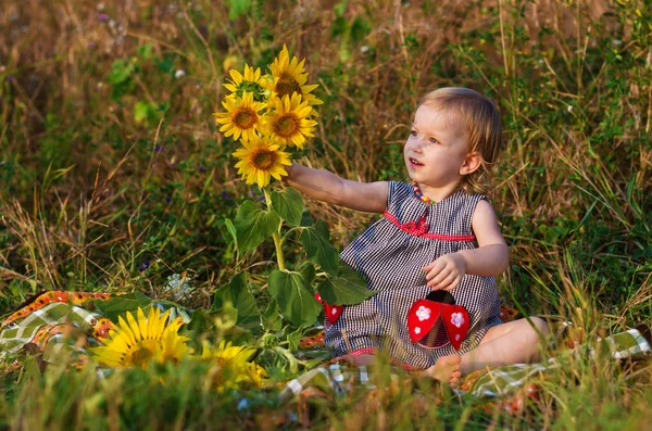 Όμορφο κοριτσάκι σε ένα πεδίο πολύχρωμο καλοκαίρι ηλιέλαιο — Φωτογραφία Αρχείου