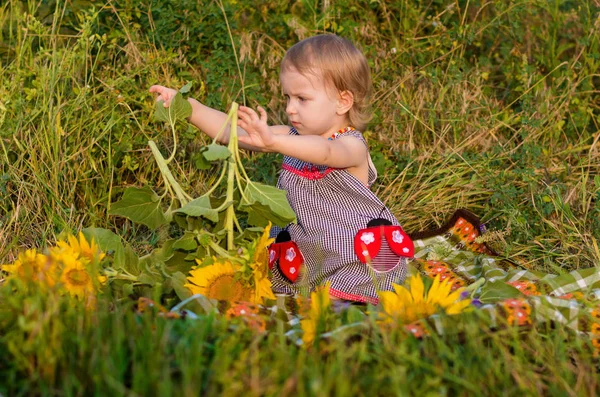 Bella bambina in un campo colorato girasole estivo — Foto Stock