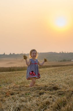 Saman, buğday sahada oynayan küçük bir kız. portakal alan gün güneşli yaz. Ebeveynler ve çocuklar ilişki. Ülkenin doğa.