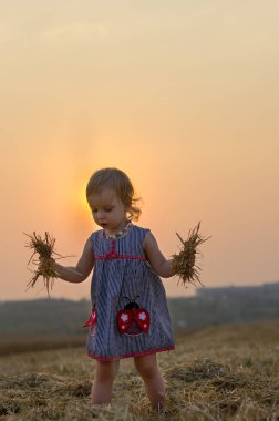 Saman, buğday sahada oynayan küçük bir kız. portakal alan gün güneşli yaz. Ebeveynler ve çocuklar ilişki. Ülkenin doğa.
