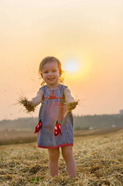 Kleines Mädchen, das auf einem Weizenfeld mit Stroh spielt. das Orangenfeld an einem sonnigen Sommertag. Beziehung zwischen Eltern und Kindern. Natur auf dem Land. — Stockfoto