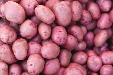 Patates arka plan. Tam çerçeve içinde genç tatlı patates.