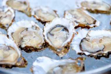 Buz deniz ürünleri üzerinde açılan istiridye